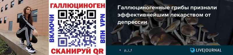 Псилоцибиновые грибы Psilocybe  Минусинск 